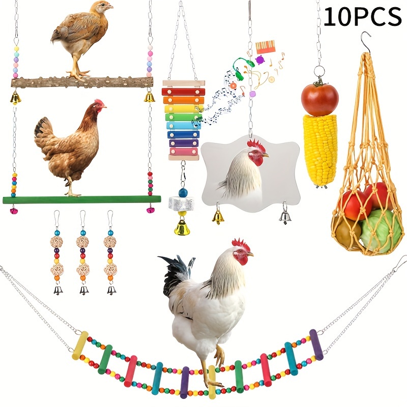 

10 pièces/ensemble de jouets pour poules avec balançoire colorée, miroir, cloche, porte-fruits et perles à broyer, accessoires de divertissement interactifs pour la cour, couleurs assorties