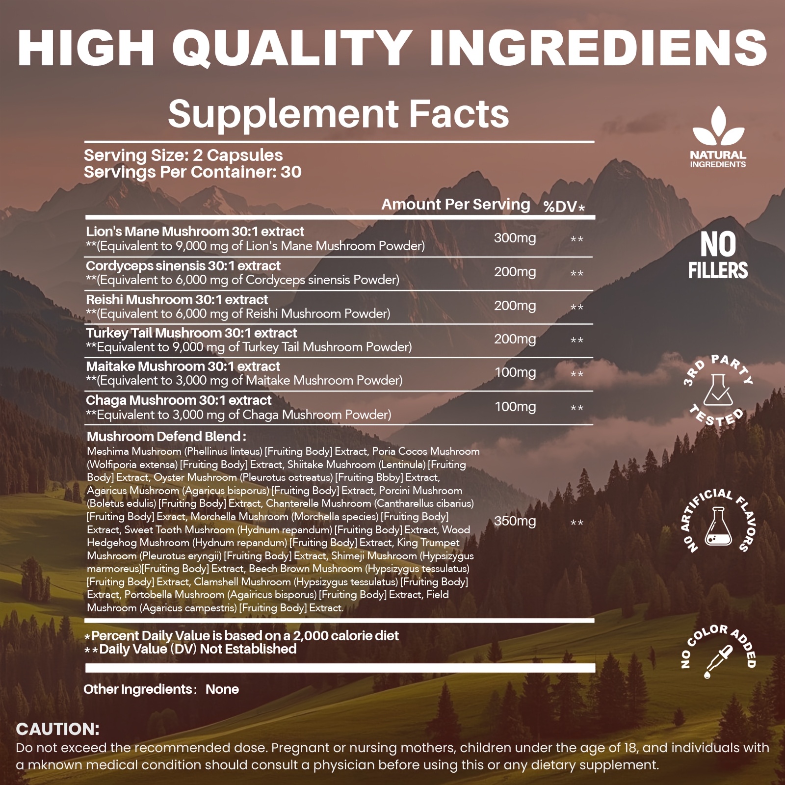 Megneta Cognitive Brain Nootropic Mushroom Complex with Lion's Mane, Cordyceps, Reishi, Turkey Tail & Chaga for Focus, Memory & Clarity – 60