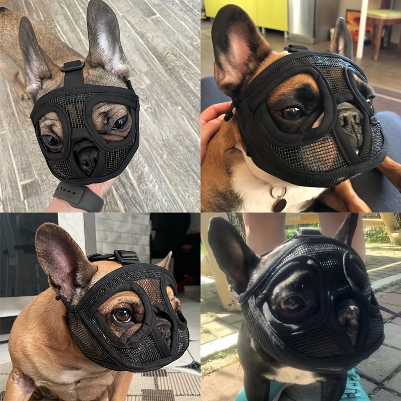 Muzzle for a french bulldog best sale