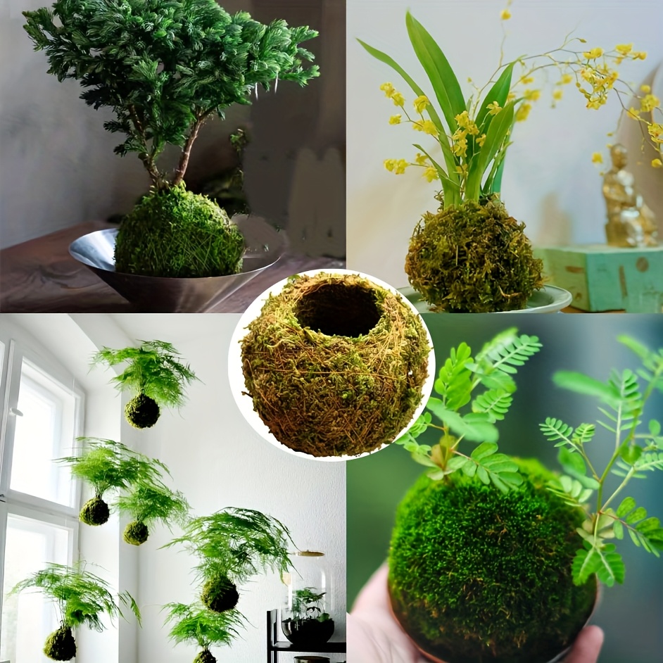 

Bohemian Style Micro Landscape Flower Pots - Lightweight, Round Desktop Decor For Indoor Plants, Green With Unique Tree And Plant Growth Patterns