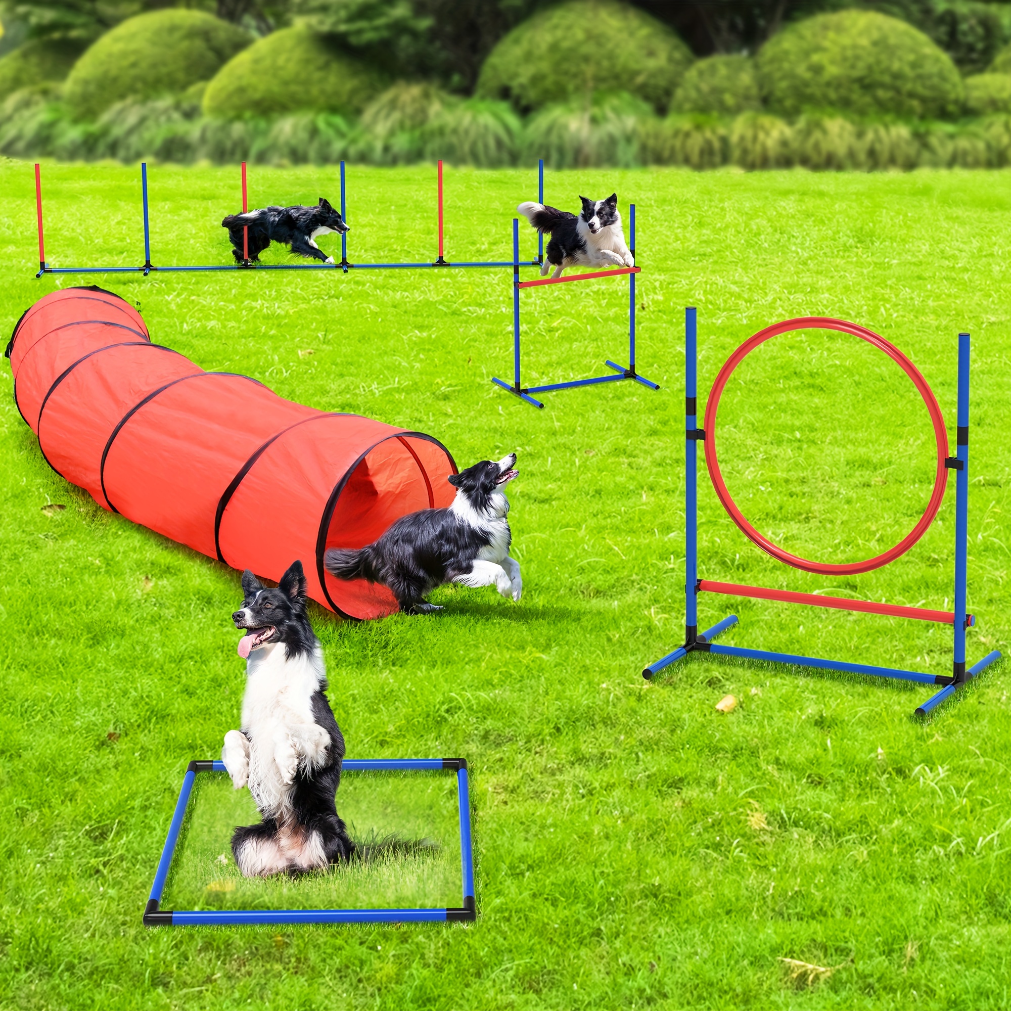 

Dog Agility Equipments, Includes Flirt Pole Toy, 3 , 1 Agility Tunnel, 2 Jumps, 6 , , Agility Course Set For Backyard, Indoor, Outdoor