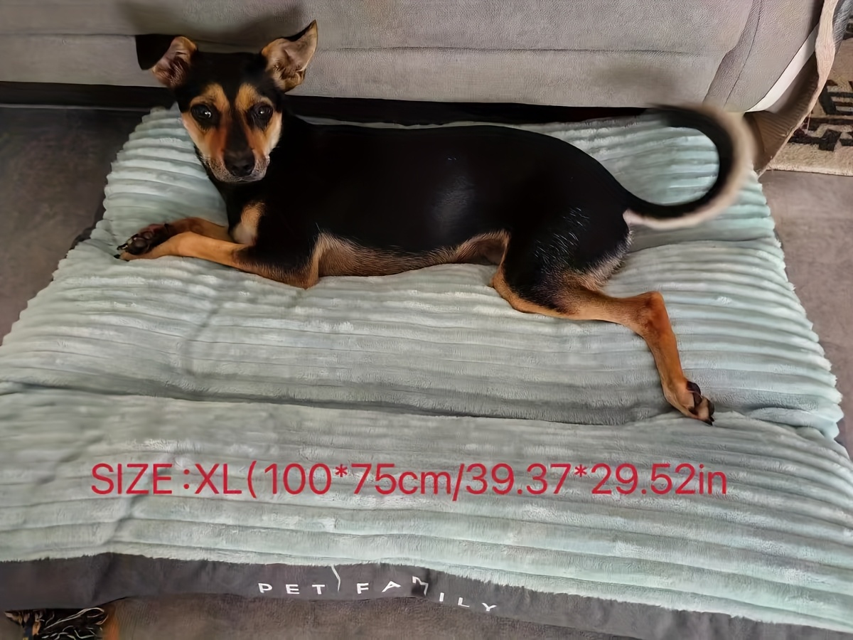 1 square   mat comfortable   resistant and scratch resistant dog bed cat nest suitable for large medium and small cats and dogs   sleep with dog mattress Product details 3