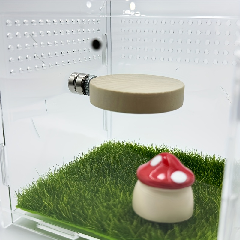 Magnetisches Versteck Für Springspinnen & Geckos – Kürbis-förmige Terrarien-Deko Mit Magnet | Ca. 5 Cm, Aus Holz