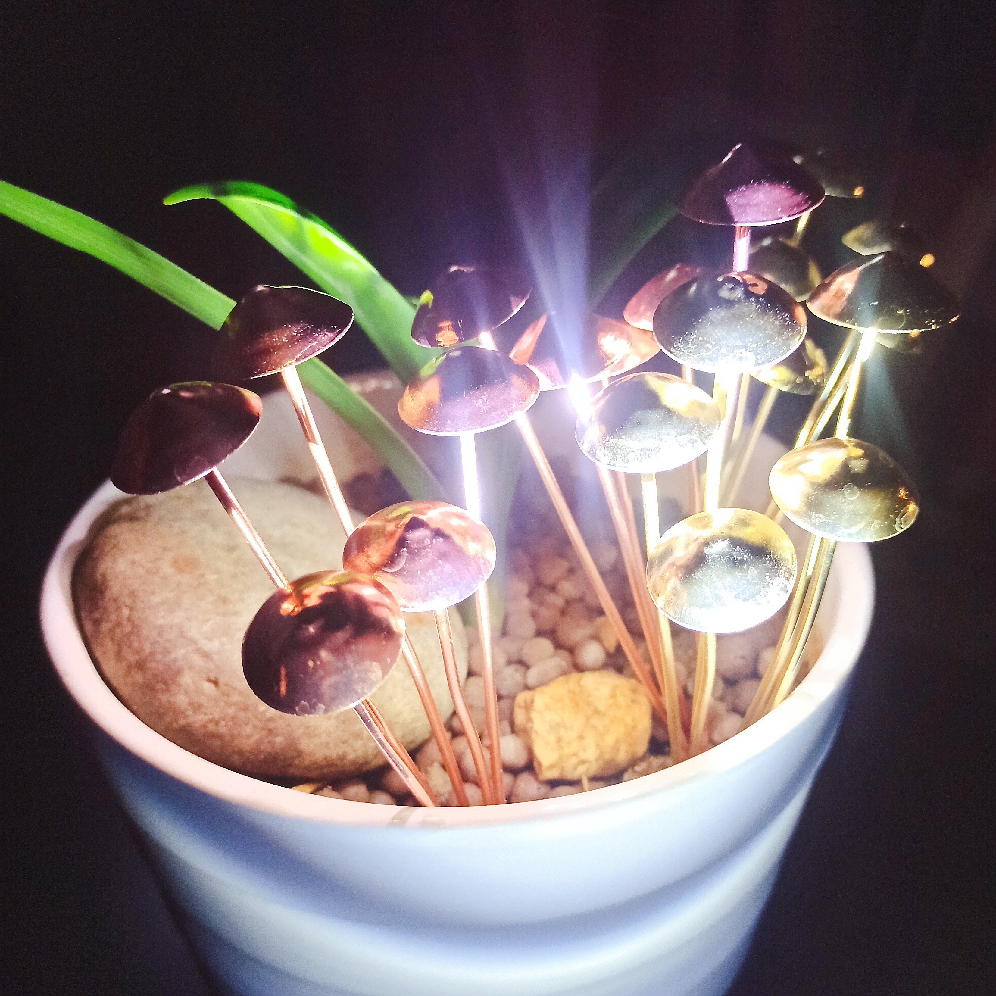 

Metal Mushroom Garden Stake - Potted Plants, Lawn & Outdoor Decor | Ideal Christmas Gift