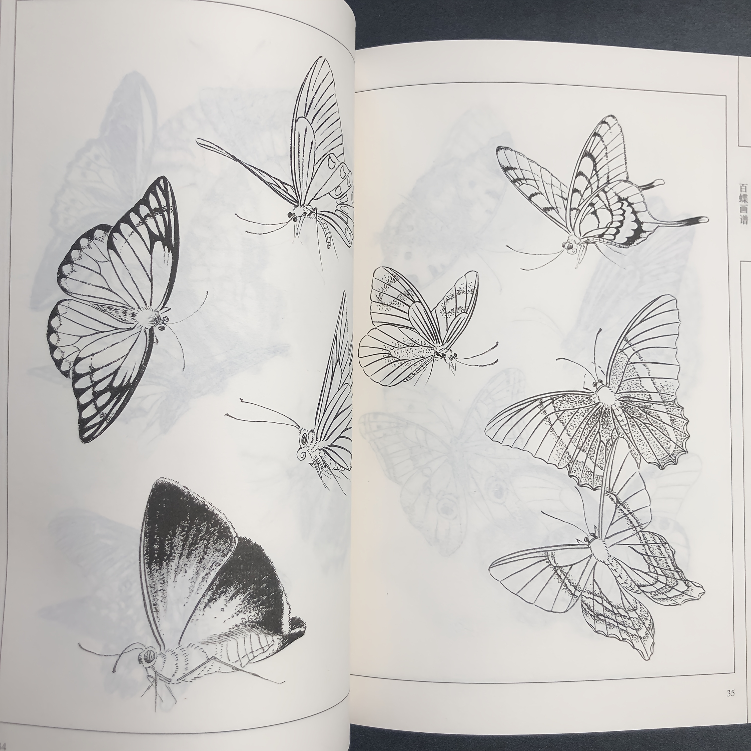 Chinese Line Drawing of Butterflies, My First Chinese Painting Album, a Guide to Traditional Chinese Painting, Suitable for Teenagers And Adults for Stress Relief, DIY Coloring Book, Watercolor, Ink Painting, Oil Painting. Chinese Version
