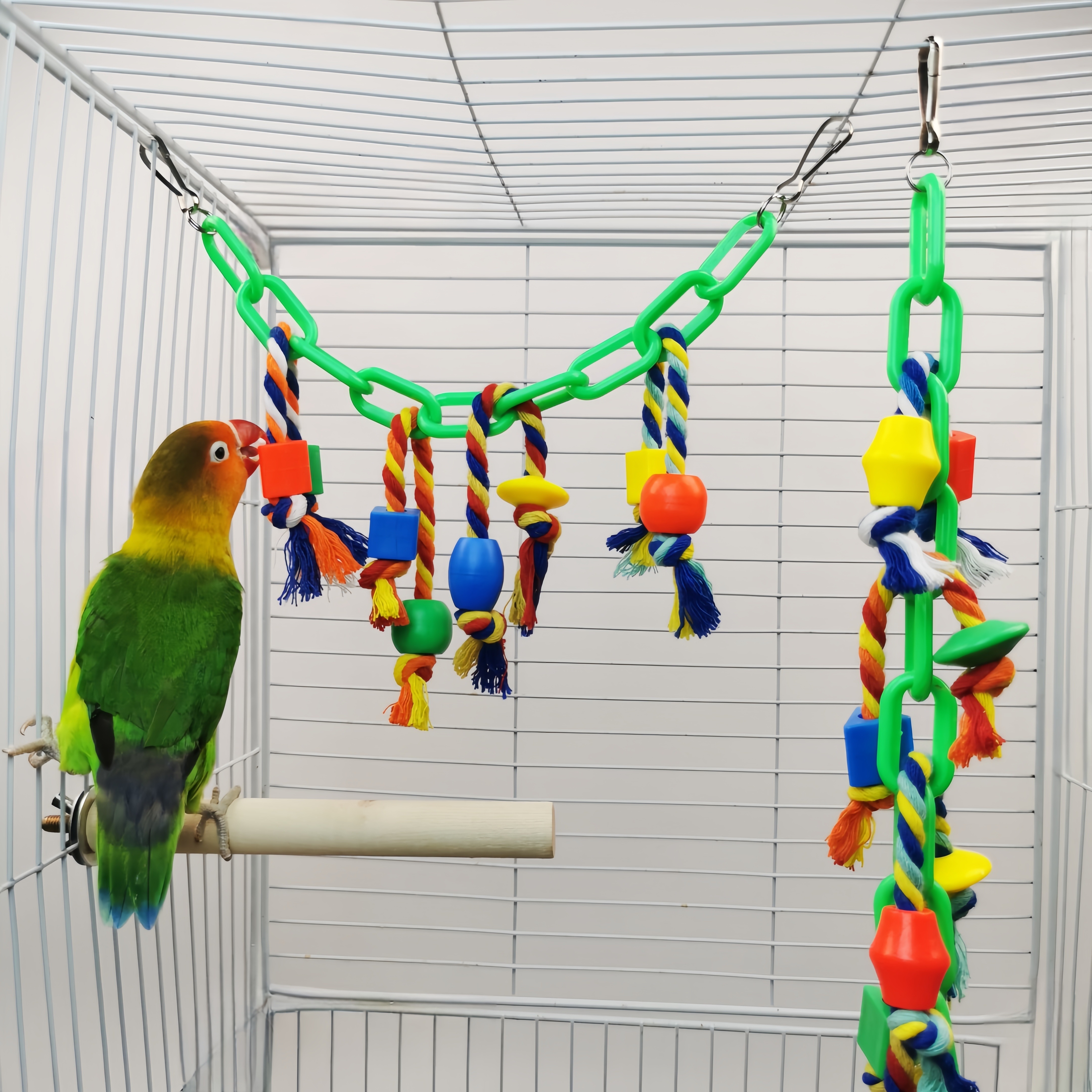 Pet Parrot Toy Colorful