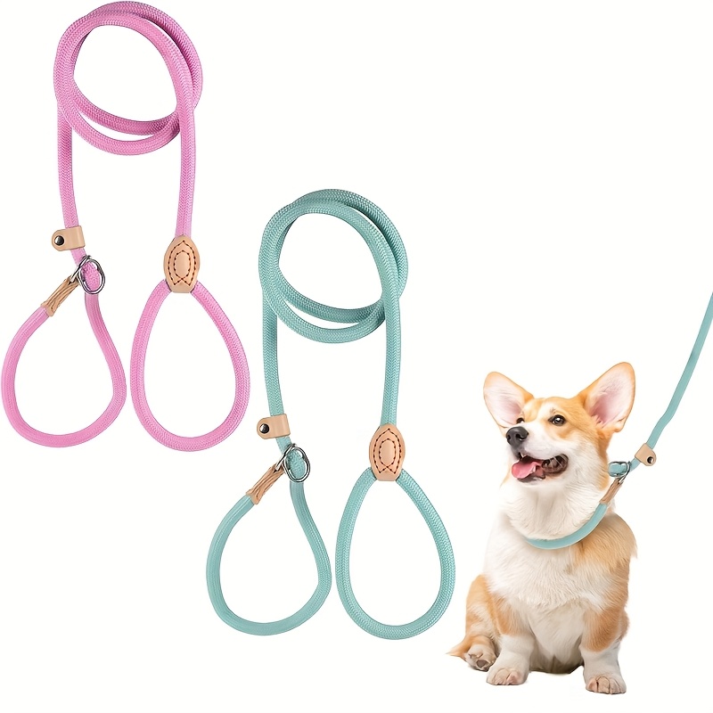 TRAINING: Nylon Rope Slip Dog Lead Adjustable Collar and Leash : Small