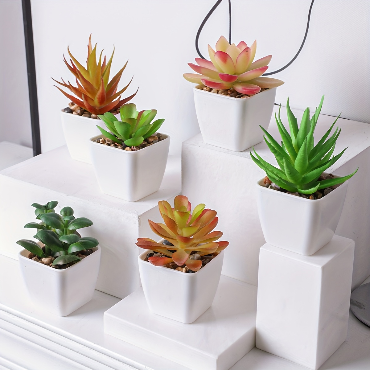 4 Piante Grasse Finte In Vaso - Decorazioni Artificiali Per Casa, Ufficio E Cucina - Vasi In Ceramica Bianca Con Effetto Realistico