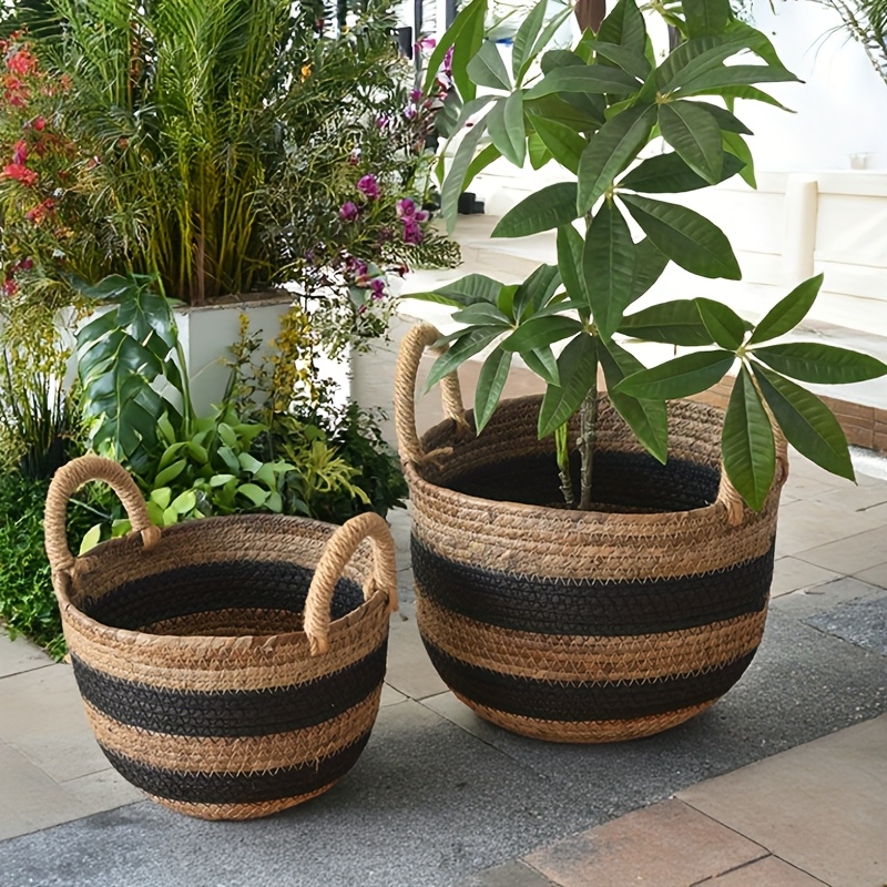 weihnachtsbaum wie echt Echter - Nordmanntanne Set:6x Teller
