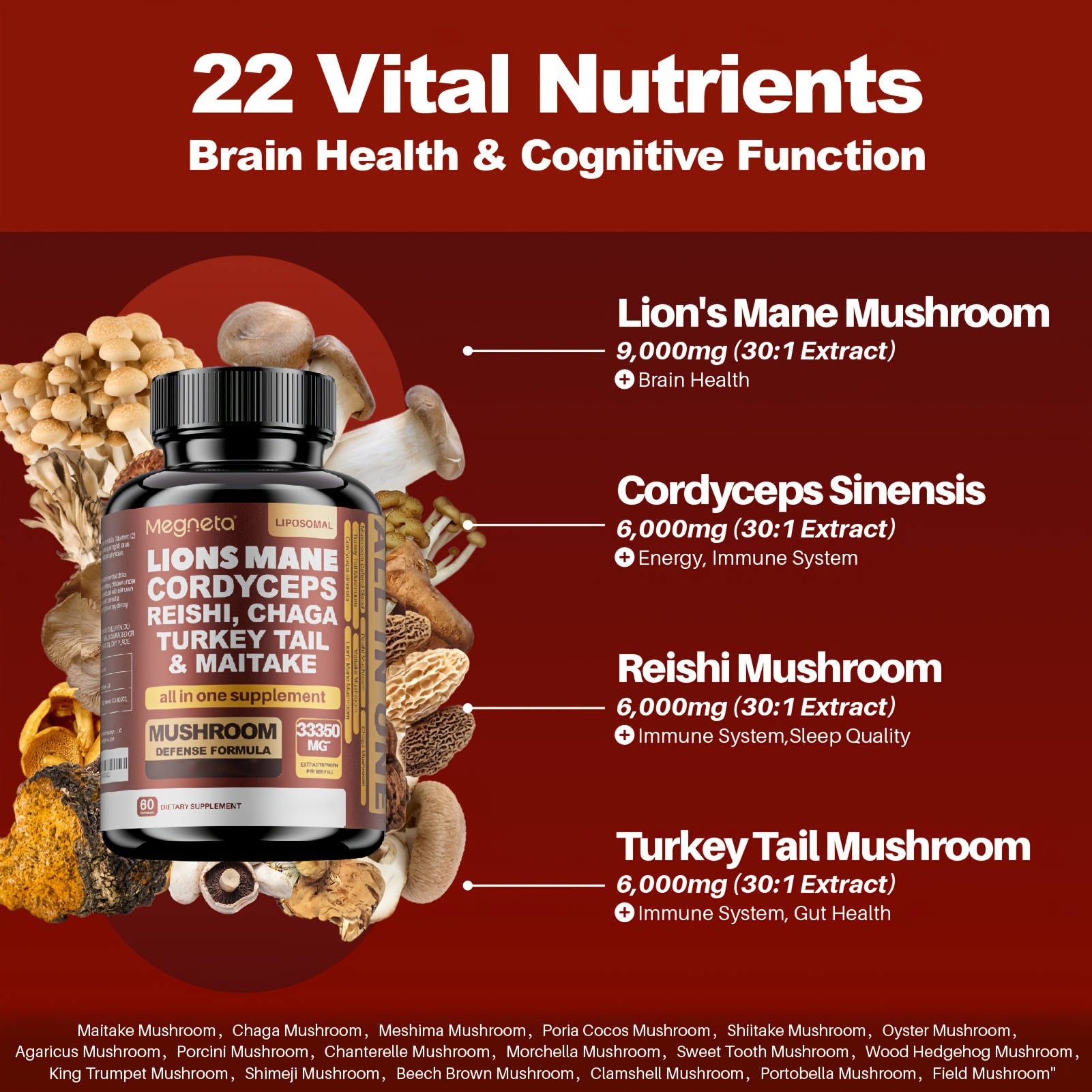 Megneta Cognitive Brain Nootropic Mushroom Complex with Lion's Mane, Cordyceps, Reishi, Turkey Tail & Chaga for Focus, Memory & Clarity – 60