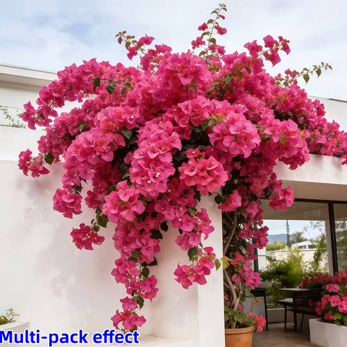 4pcs perfect bougainvillea film texture spring faux flowers spring decor bougainvillea suitable for home decoration courtyard decoration holiday decoration