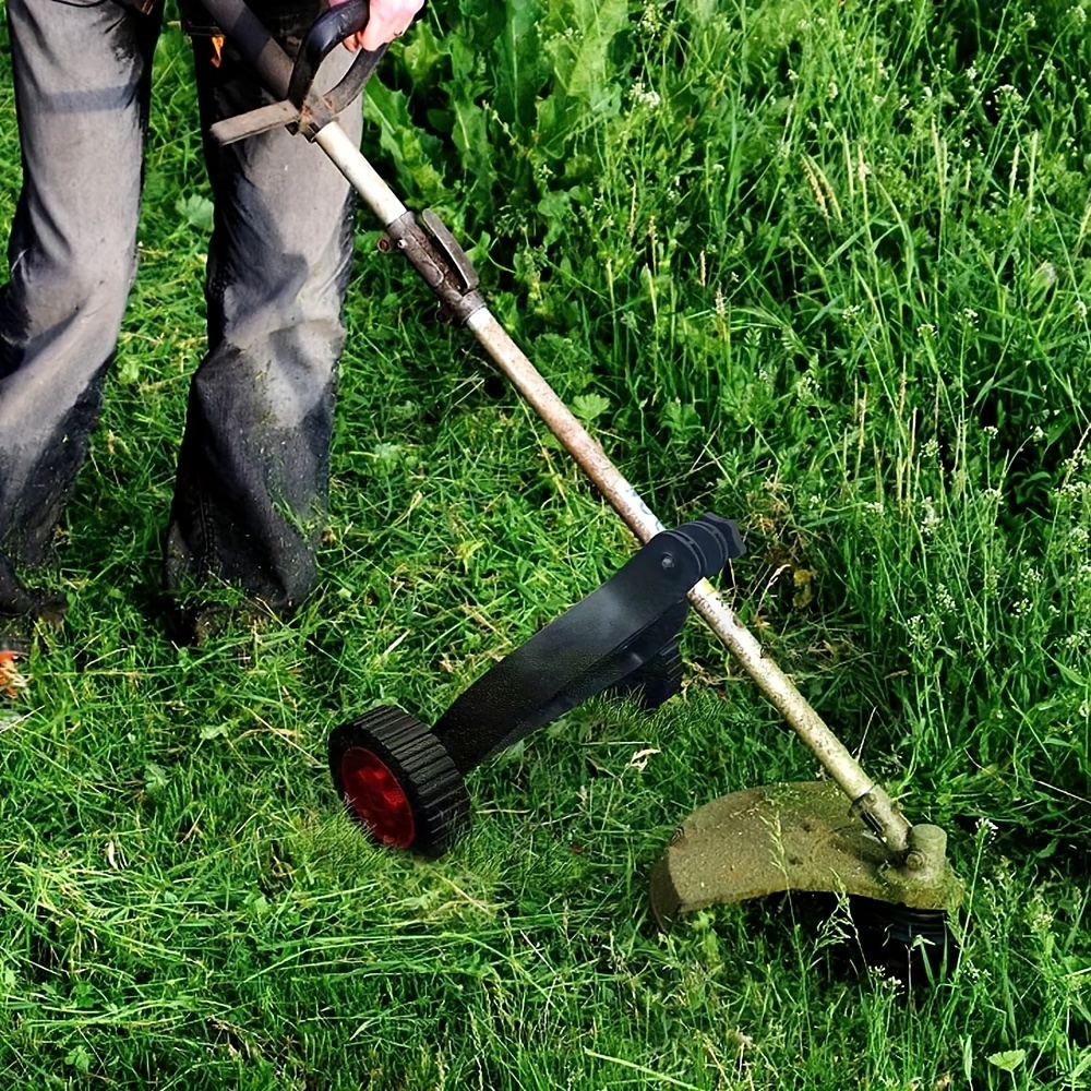 Kit Temu New Zealand