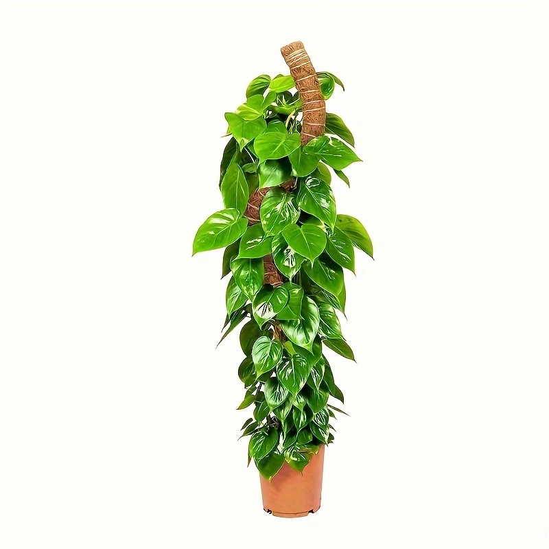 

1pc Handmade Moss Pole For Climbing Plants - Sturdy Support For Indoor Gardening And Floral Arranging Decor With Durable Plastic Material