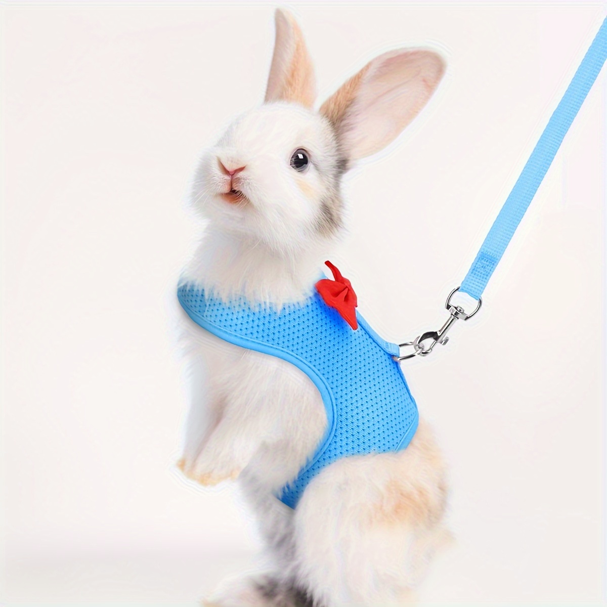 One Set of Solid Color Fashion Rabbit Harness for Outing and Rabbit Leash to Prevent Loss