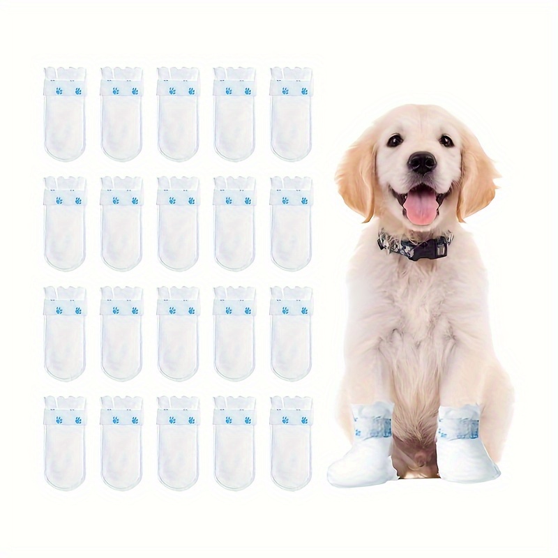 Dog socks for dogs best sale