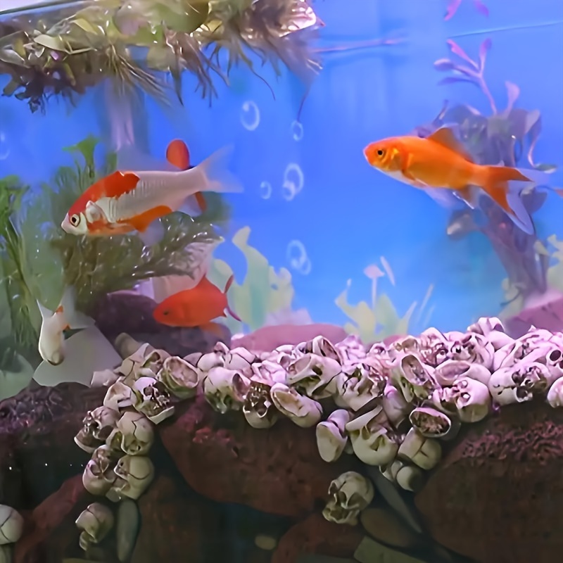 Creative fish tanks best sale