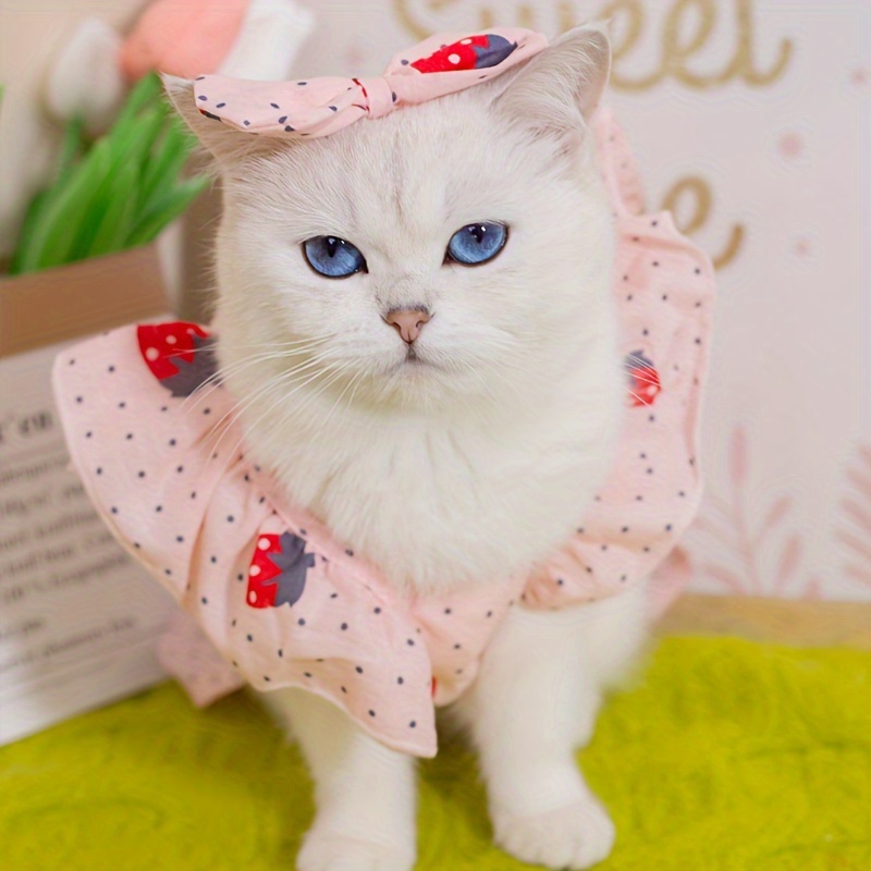 vtmnts vetements ヴェトモン　猫　CAT Tシャツ 新品未使用】vtmnts cute cat T shirt 猫 Tシャツ - メルカリ