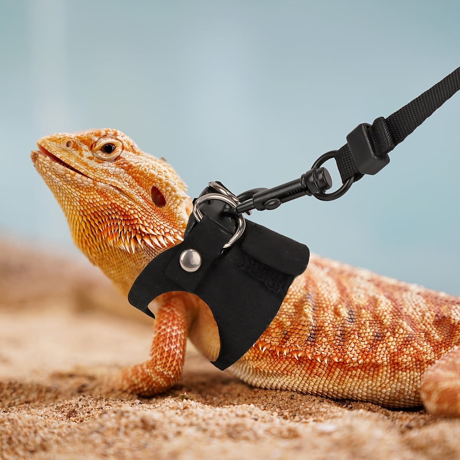 Bearded Dragons Set/Harness And Leash/Walking Your Lizard/Ideal for/Available in 3 Sizes