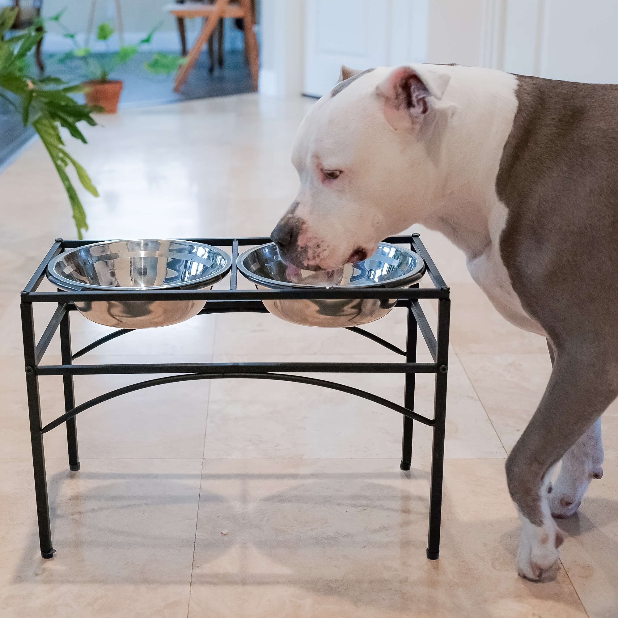 Image of Elevated Pet Feeder Stand Holder With 2 Washable Stainless Steel Bowls | Medium Size (m) For Dogs, Dimensions 42x22x27 Cm, Black