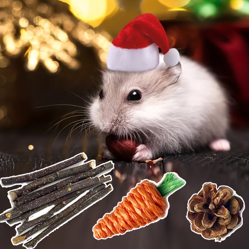 Silkfly 12 stuks hamsterhoed mini-hoeden voor slangen kleine dieren cavia hoed hamster kleding schattige kleine rattenhoed voor slangen huisdieren hagedissen hamsters baardraken vakantie feest kostuum