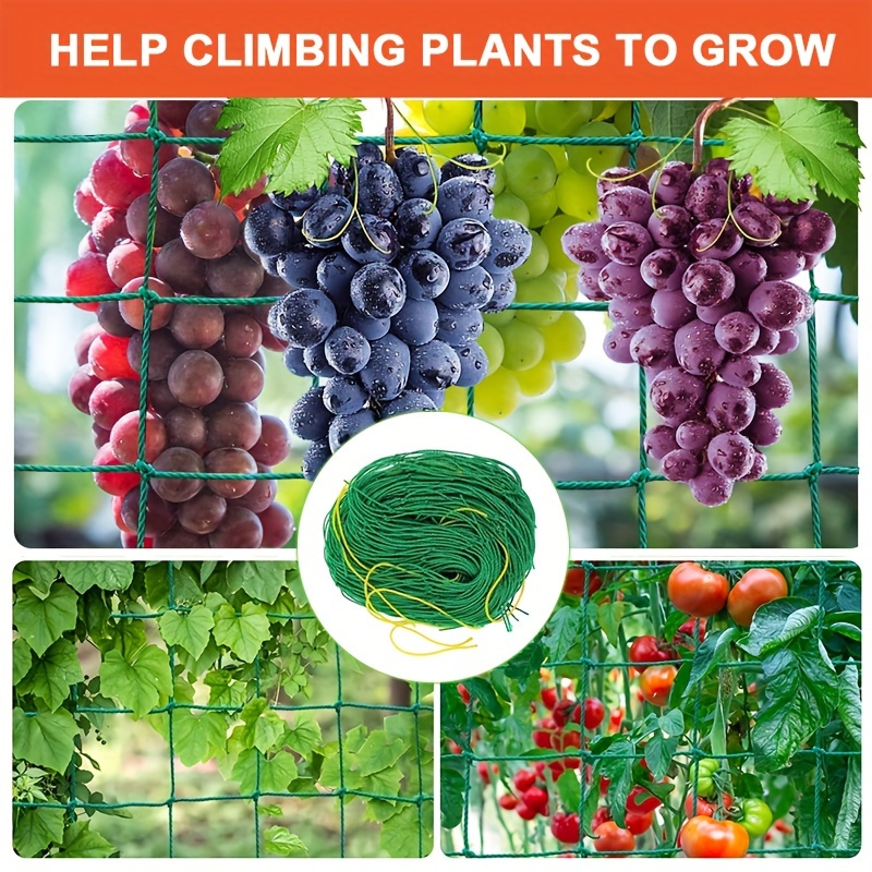 

1pc Plants Climbing Net, Reusable For Diy, Garden Pergola Climbing Plants Support Structures, Grow Your Garden With This Planting Trellis, Green, Cucumber Tomato Grape Growing Pea Vegetable