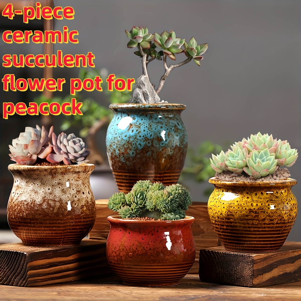 

4-piece Ceramic Succulent Pot Set, -, Waterproof Planters For Indoor & Outdoor, Floor Use - Floral Arranging Supplies