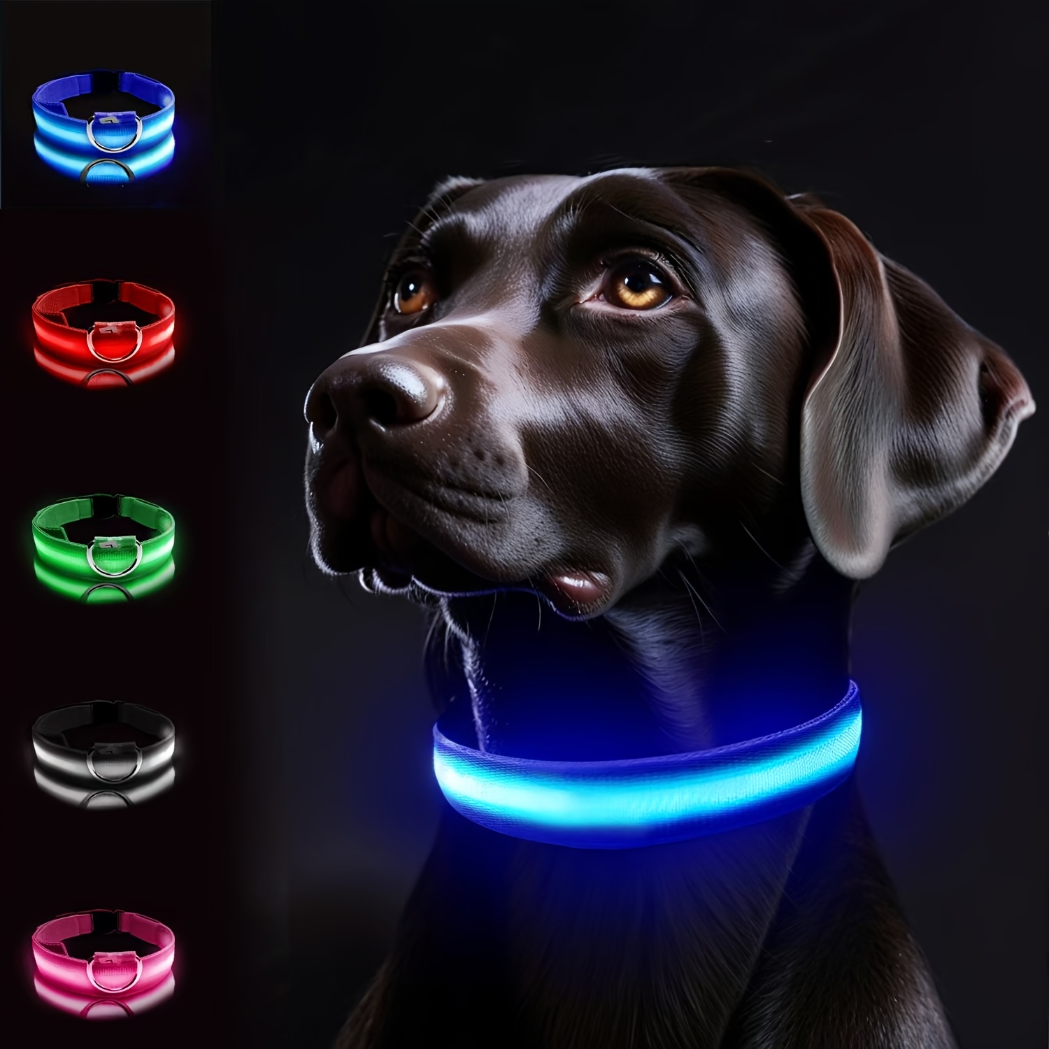 Collar LED que Brilla en la Oscuridad para Perros Pequeños y Medianos - Mantén a tu Mascota Segura y Visible en Paseos Nocturnos