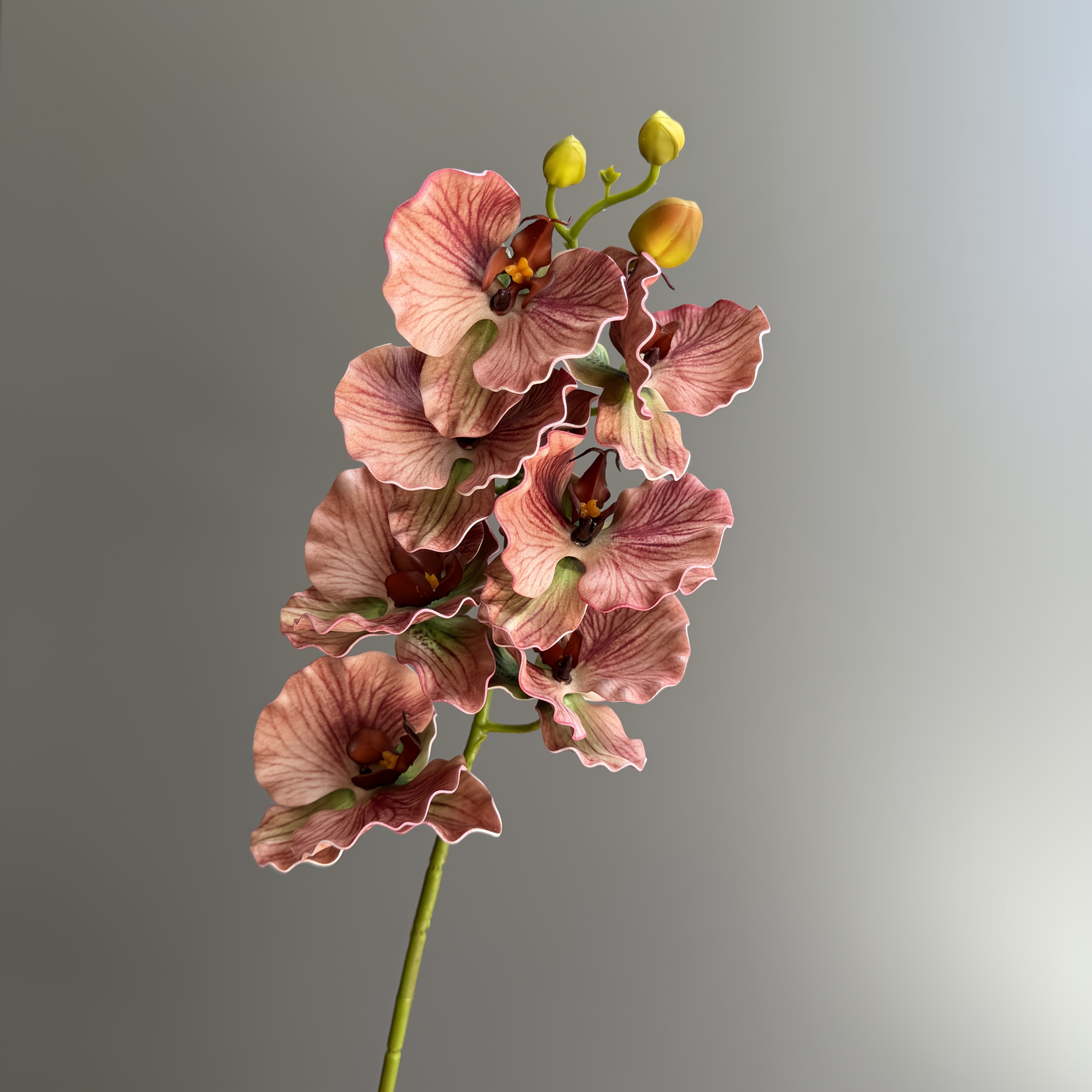 TEMU Artificial Phalaenopsis Stem, Long Stem Faux Orchid, 76cm Fake Orchid For Home Vase Decor, Wedding & Luxury Floral Arrangement
