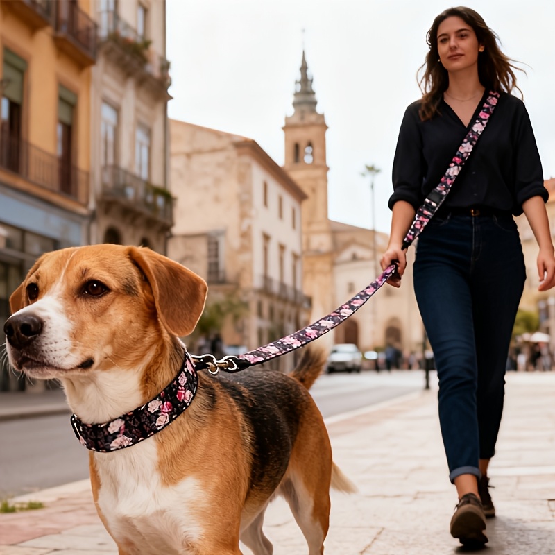 Multi-Functional Dog Collar and Leash Set for Outdoor Walks