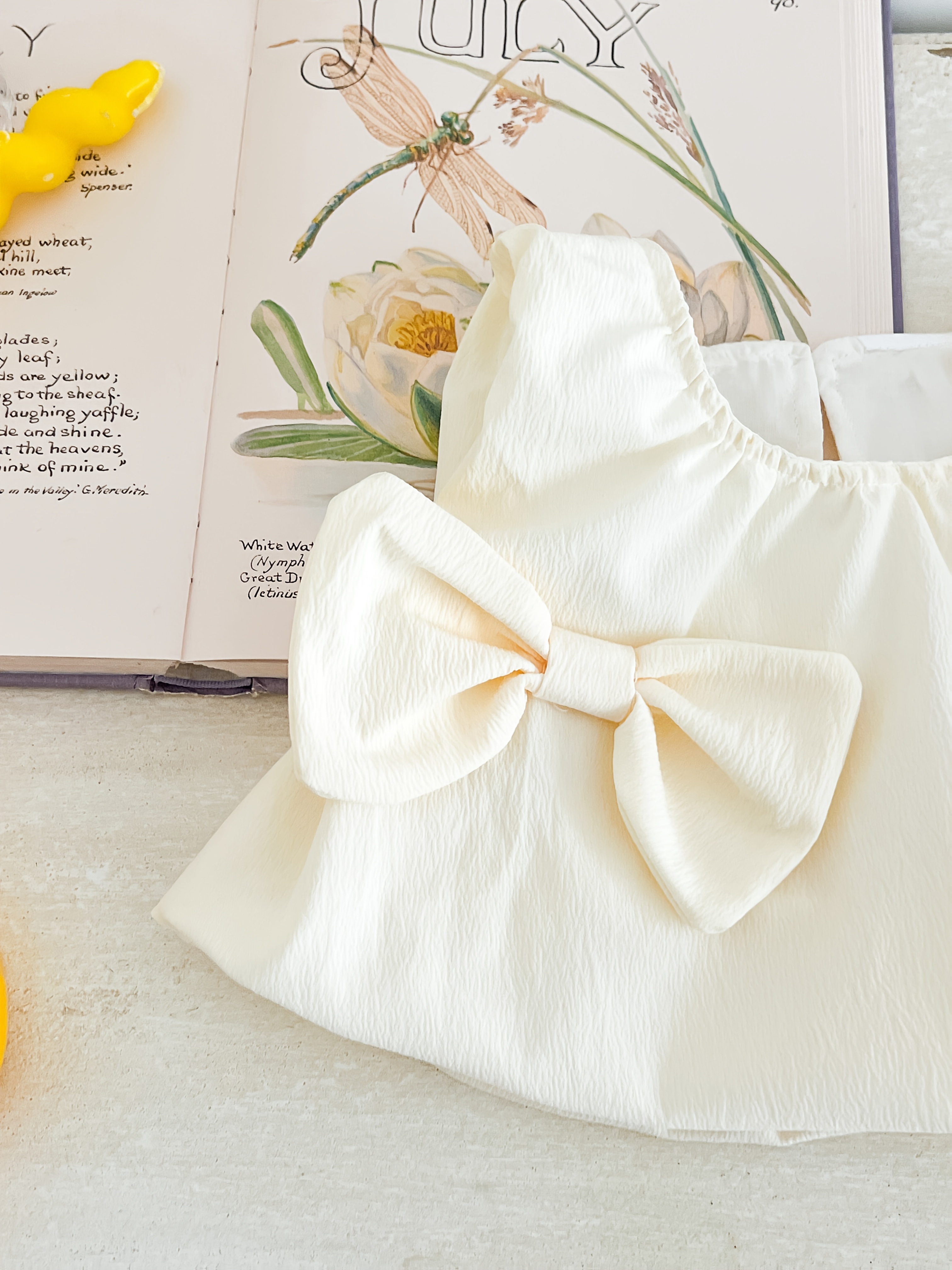 two piece baby girl casual cute apricot bow - Temu United Arab Emirates