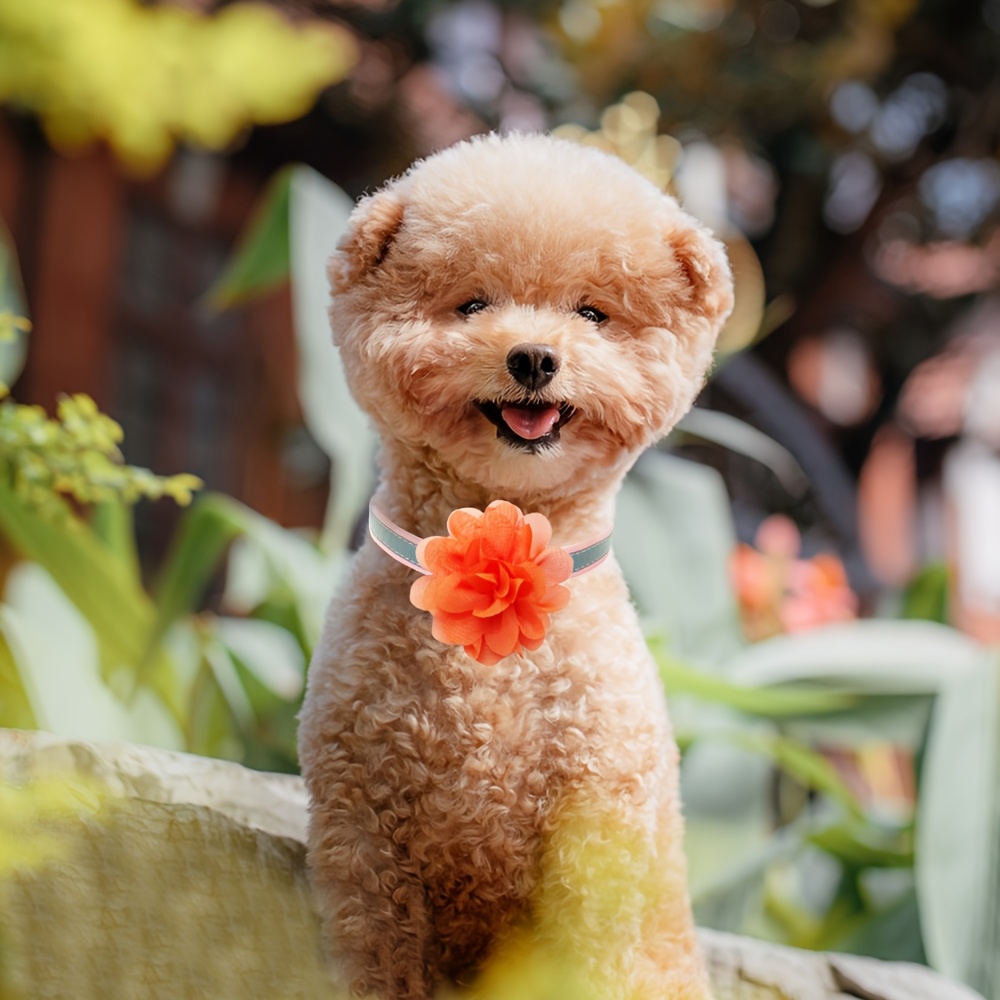 10pcs Flower Dog Collars with Removable Bow Ties