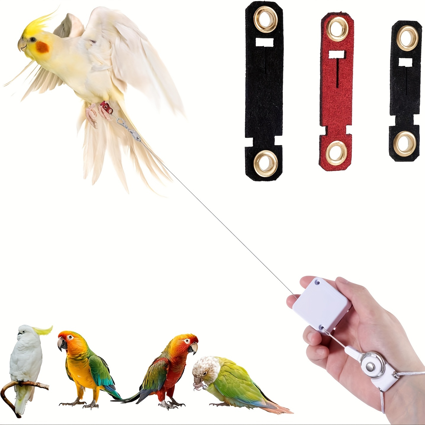 

6,56 pieds Laisse rétractable réglable oiseaux 3 anneaux de interchangeables - Câble en inoxydable 304 , portable l'entraînement en vol en extérieur - de cheville oiseaux calopsittes, , et perroquets