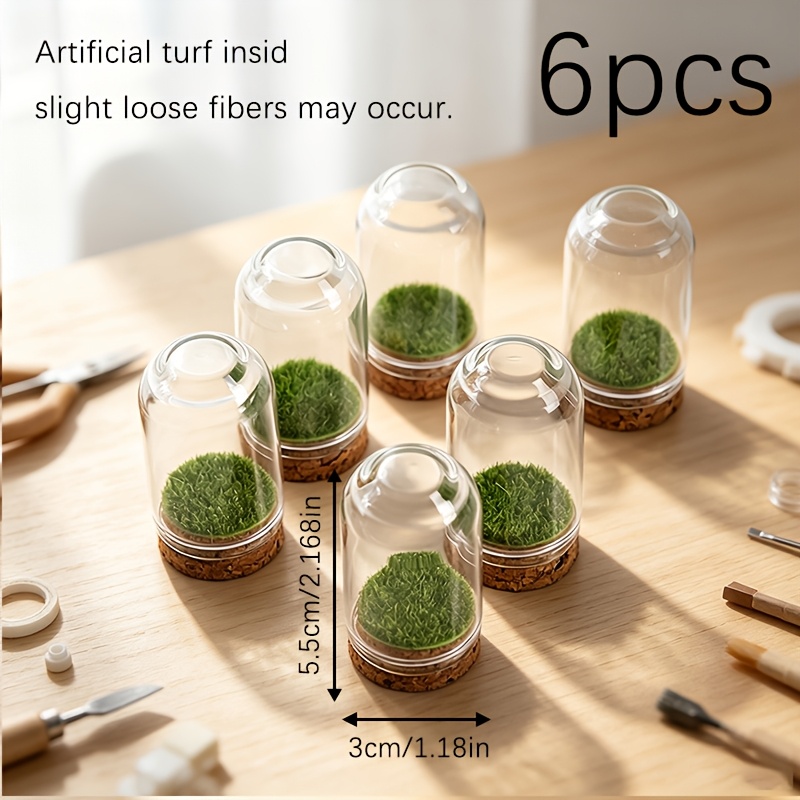 TEMU Lot de 6 mini cloches en verre, présentoir de cloche avec base en liège et gazon artificiel pour diorama, miniature et artisanat