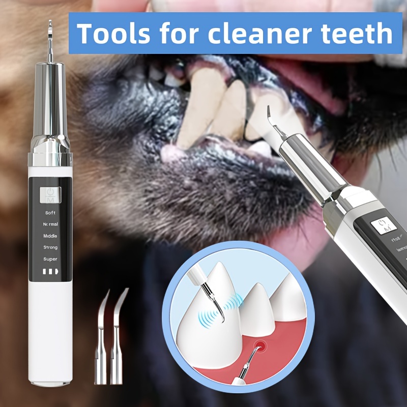 

1pc Pet Electric Dental Cleaner Kit, Usb Rechargeable Tooth Stain/tartar Remover With 2 Cleaning Heads, 4 Modes, Mirror Feature, Dental Care Set For Teeth And Gum Protection