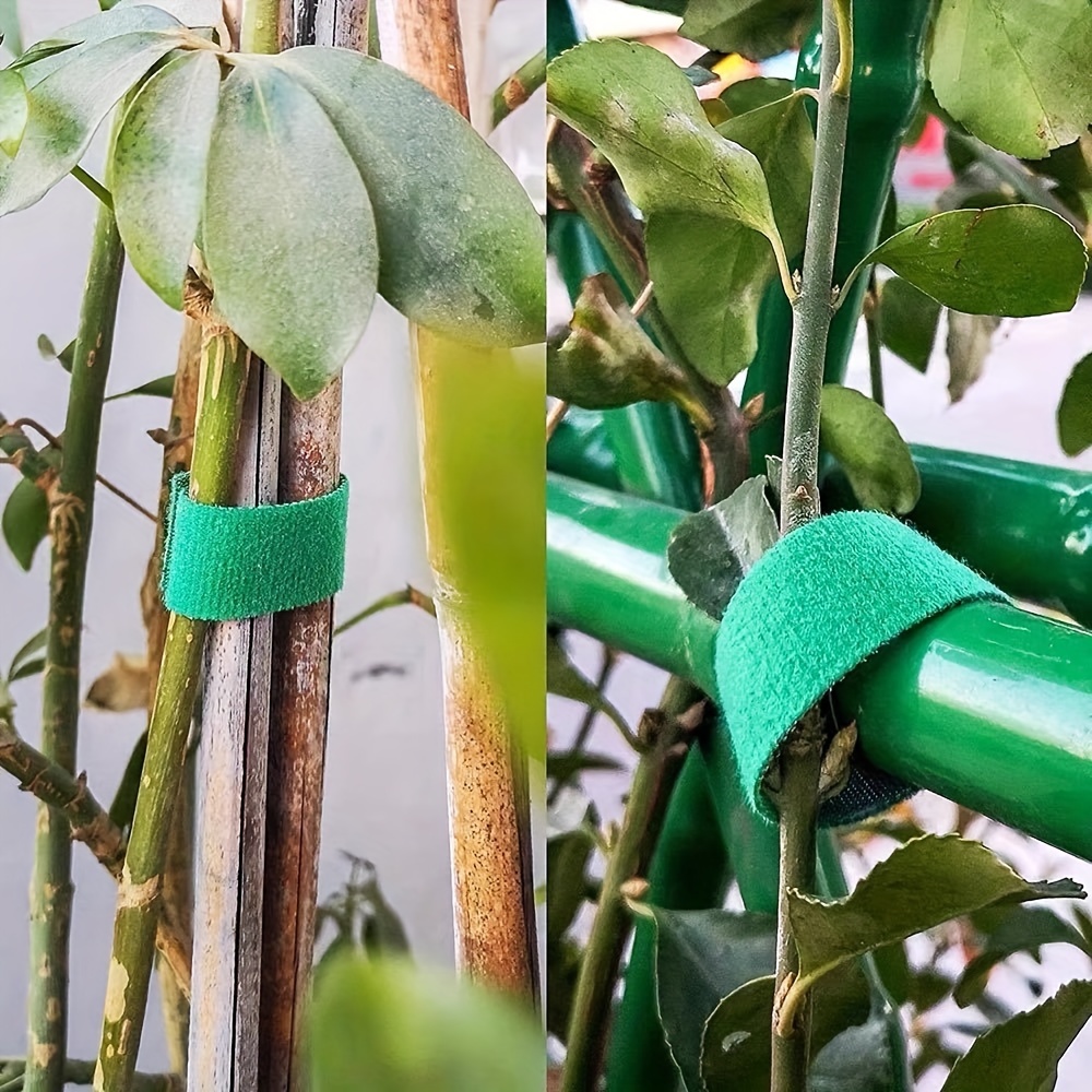 1 Roll 5m/196inch Hook And Loop Garden Plant Ties Tape, Reusable And Adjustable Fastener For Strong Support In Indoor/Outdoor Gardening, Thicker Design For Tomato Vines & Growing Plants, Gardening Gift Idea