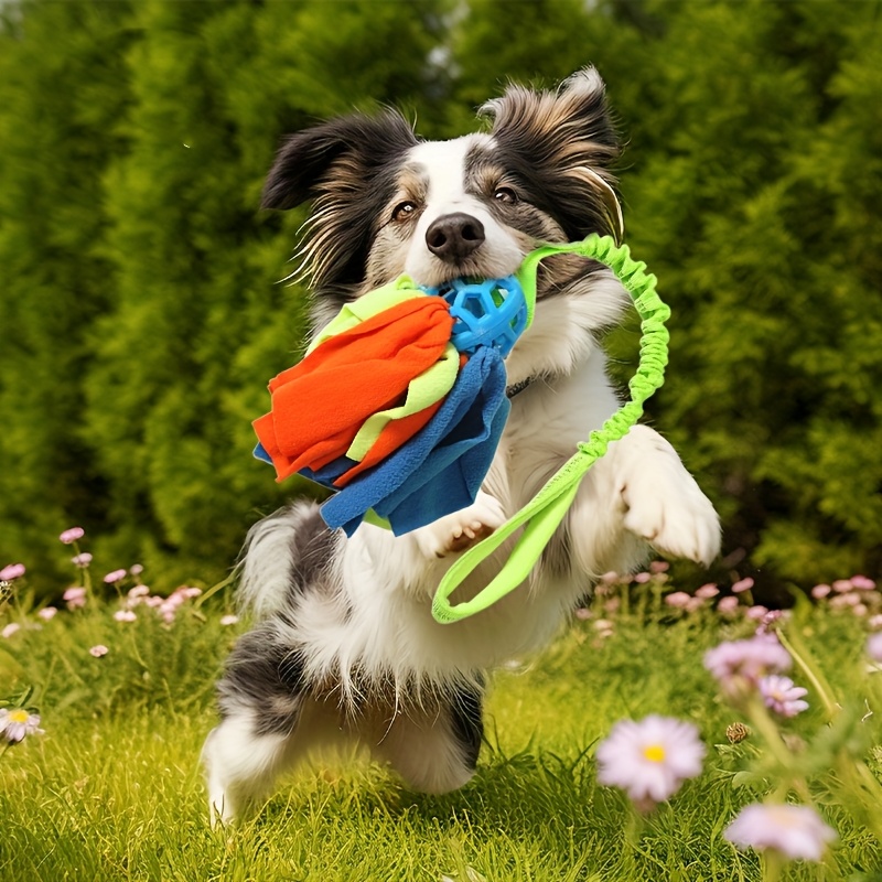 Image of Heavy-duty Chew-resistant Interactive Dog Ball With Hollow Rope - Durable Chewproof Puppy Toy Suitable For Medium Breed Dogs, , Boredom & Fetch Games