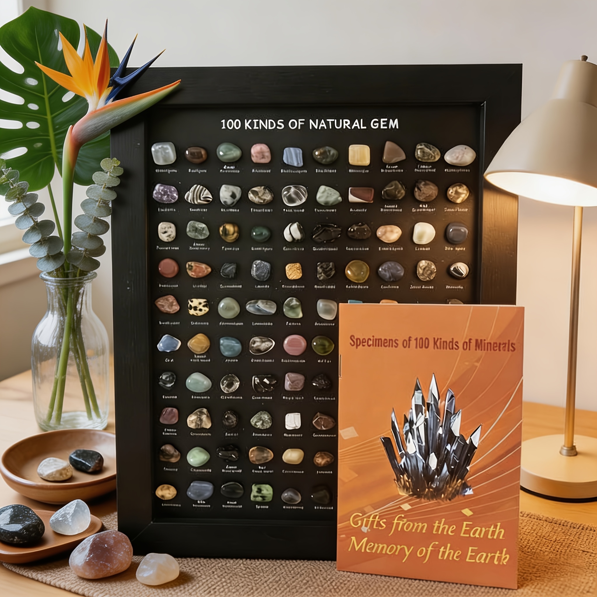 TEMU Atlas de 100 types de minéraux naturels + 100 spécimens de minéraux, cristal artificiel, agate, , œil de tigre, labradorite, calcédoine, quartz