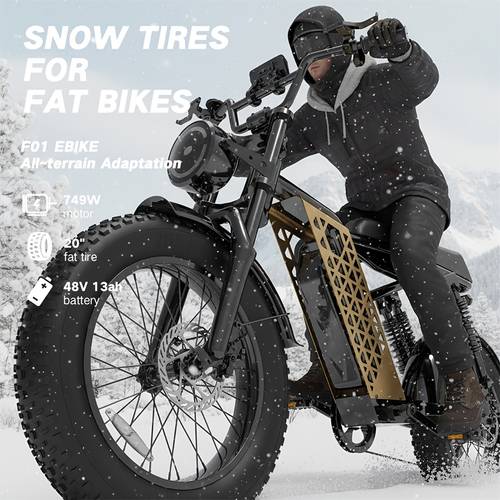 f01 electric bike for adults 749 w motor 20mph 48v 13ah battery 80miles ebike moped style 20 tire electric dirt bike off road e bike full suspension dual suspension off road e bike 80 miles 20 snow tires electric bike