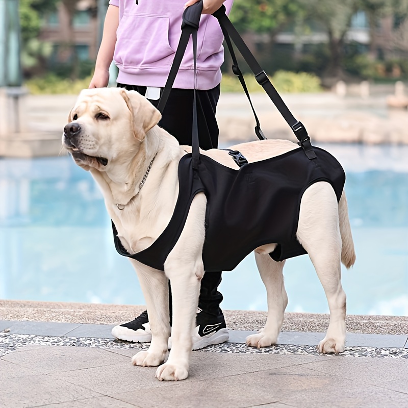 Dog Support Strap Full Body Lifting Harness Support Strap - Temu