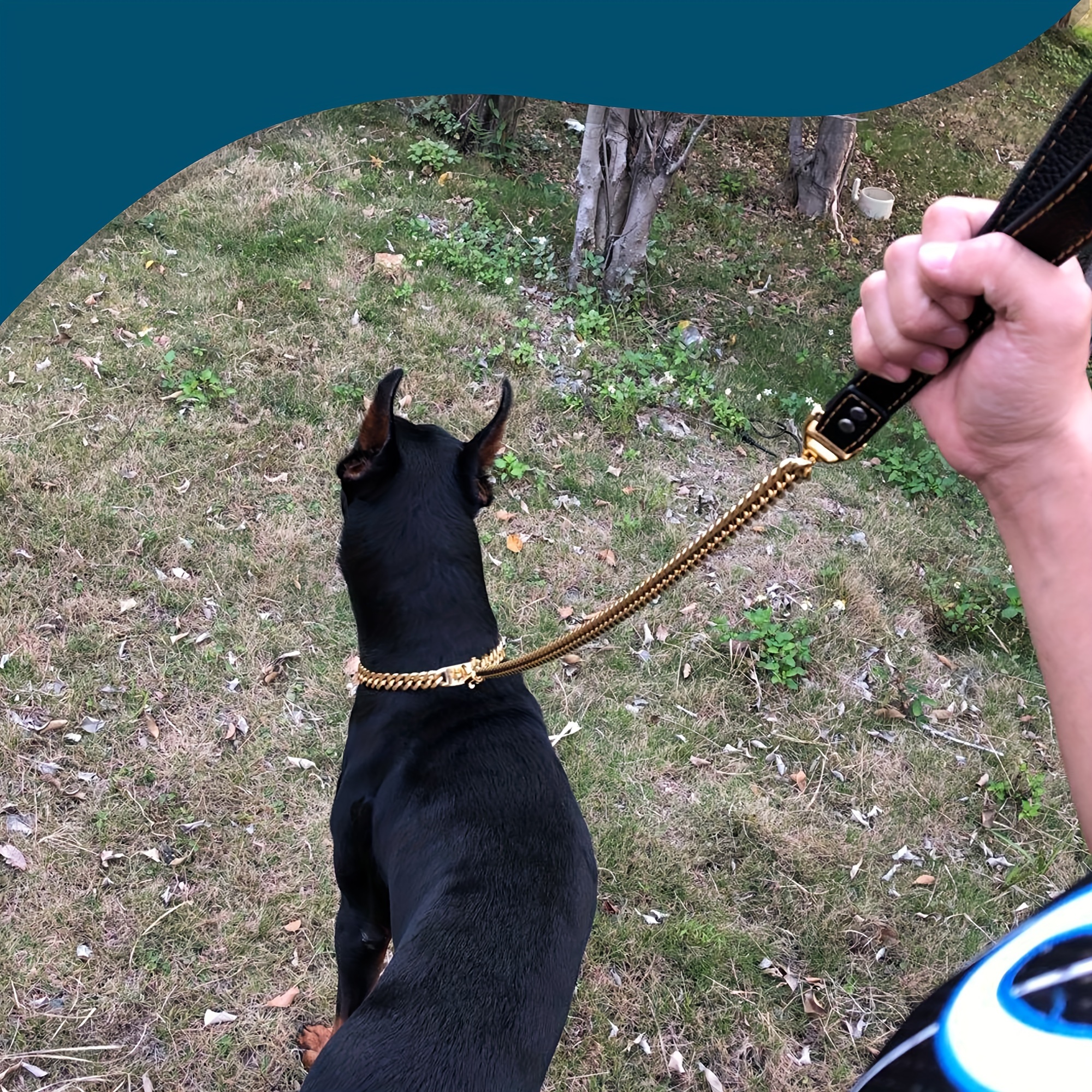 Waterproof Dog Leash