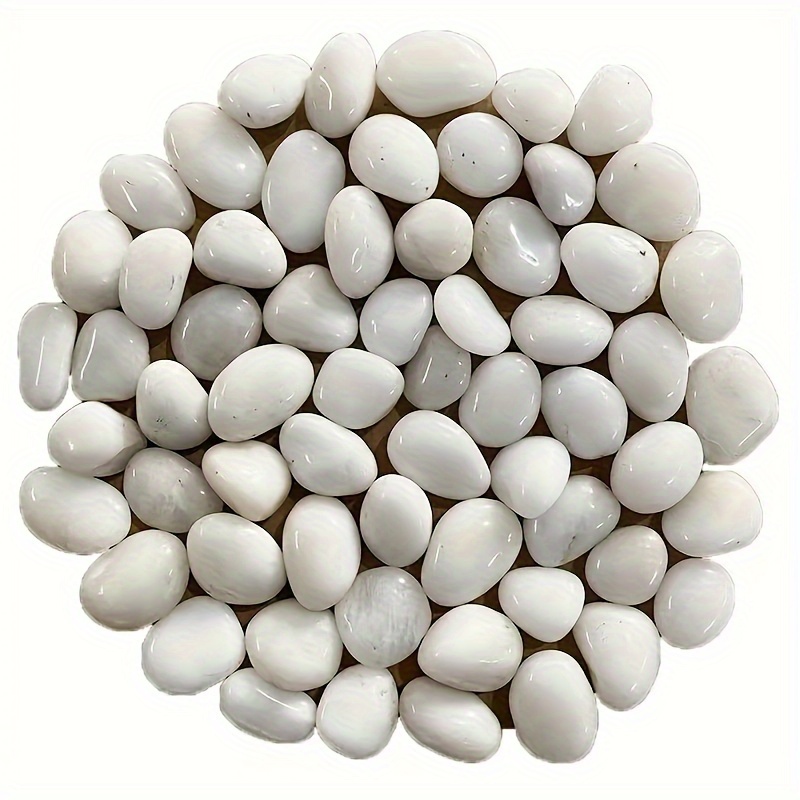 Piedras decorativas de piedra blanca de 1.1 libras para suelo suculento,  cactus tierra, mezcla de rocas de río, piedras blancas, bricolaje para