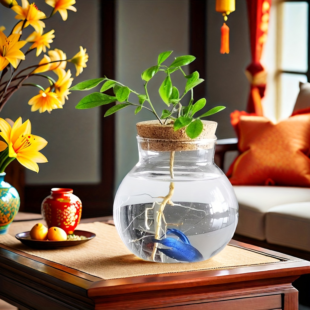 Bouchon De Liège Comme Mini Pot Pour Une Plante Succulente