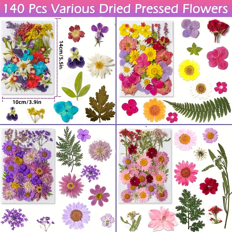 TEMU 140pcs Vibrant Dried Flowers And Leaves Set - Nature-inspired Decoration Kit For Diy Crafts, Resin Jewelry, Scrapbooking And More