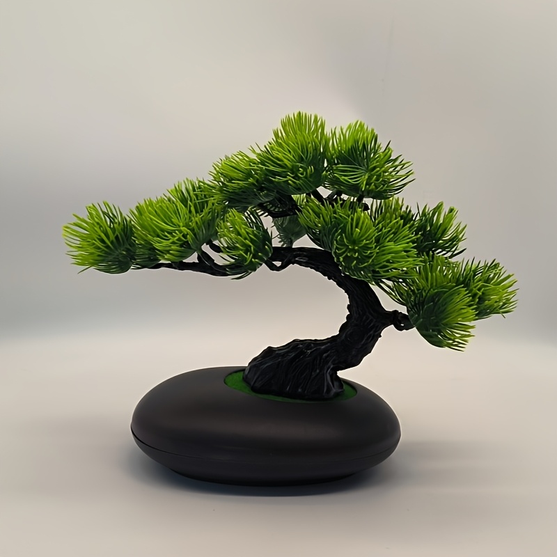 bonsai sold on Temu United States