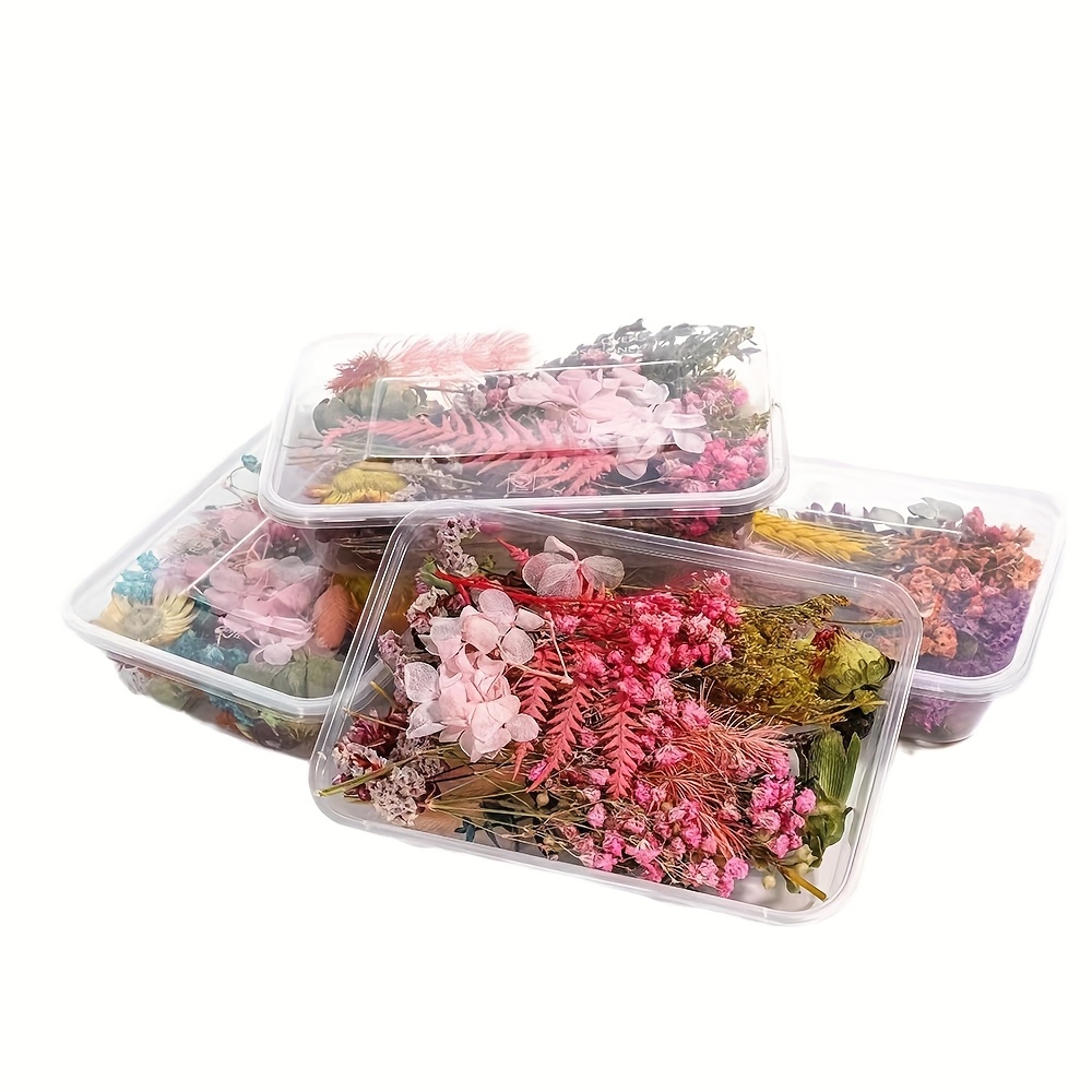 Preserved Flower DIY Kit with 8-10 Flower Types, Photo Frame, Candle, Aromatherapy, Soap, Straw Hat Materials, Gift Set