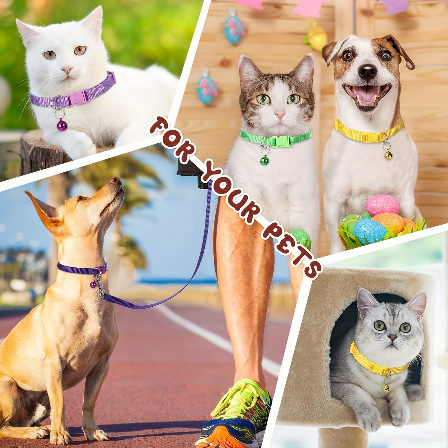 10-Pack Adjustable Dog Collar and Leash Set, Multicolor