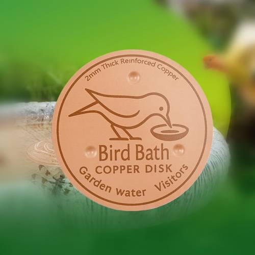 bird bath purification disk pure copper water cleaner stable support all year round fits bird bath bowl