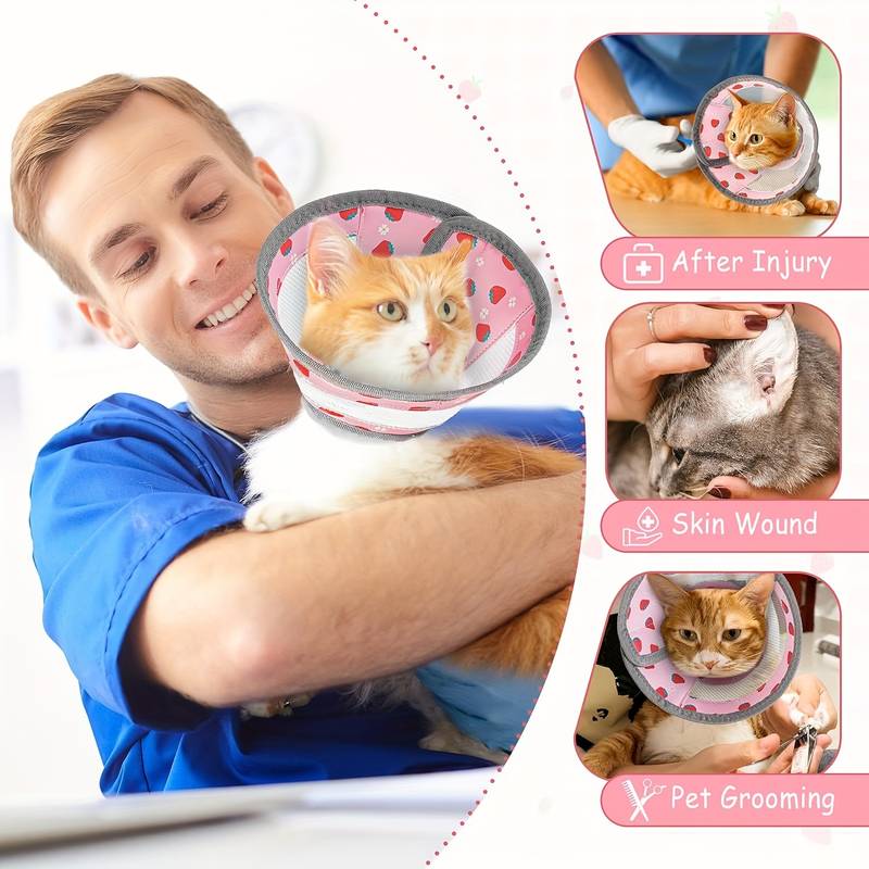 How to Groom Cat With Elizabethian Collar: Easy Steps for Success
