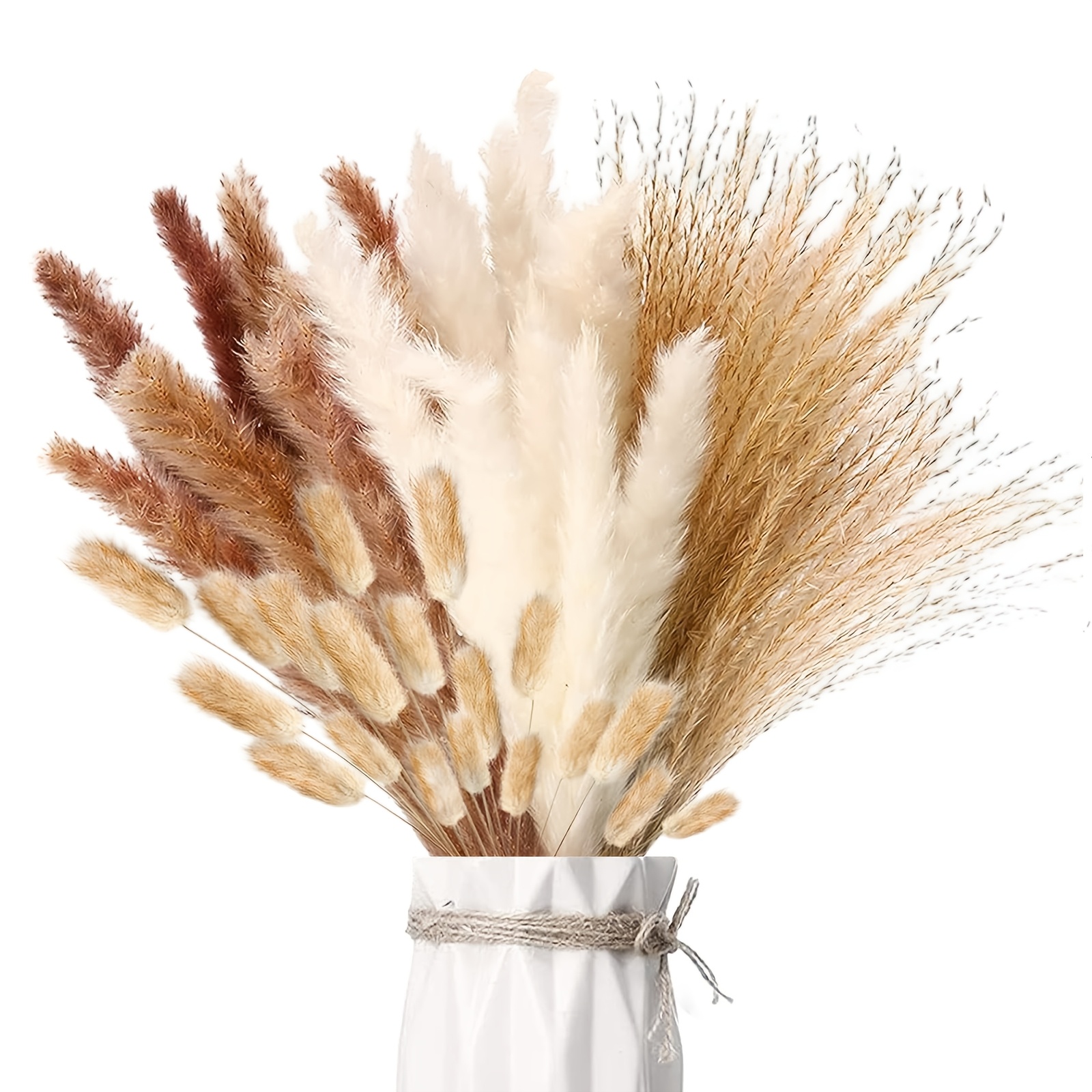 TEMU 110 pièces d'ornements naturels séchés de pampas bohèmes, queues d'lapin, fleurs et roseaux, parfaits pour les centres de table de mariage, la