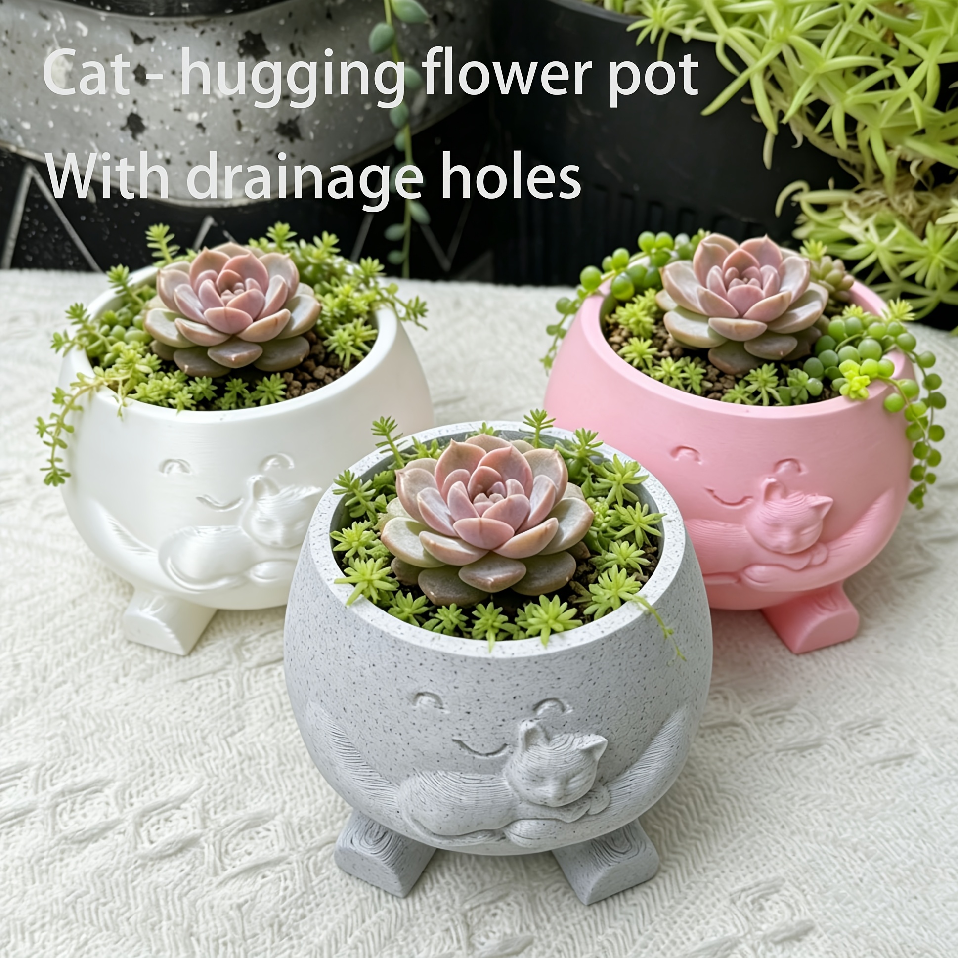 small planters for succulents Cedar Wood Succulent Planter – Lyra Gardens main image 0